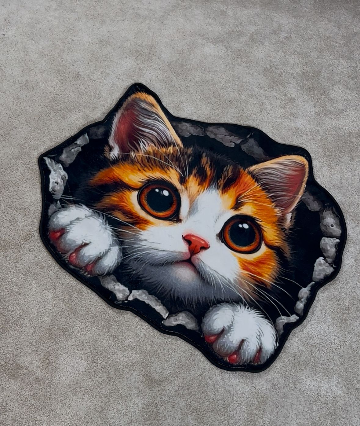 Cute Looking Cat