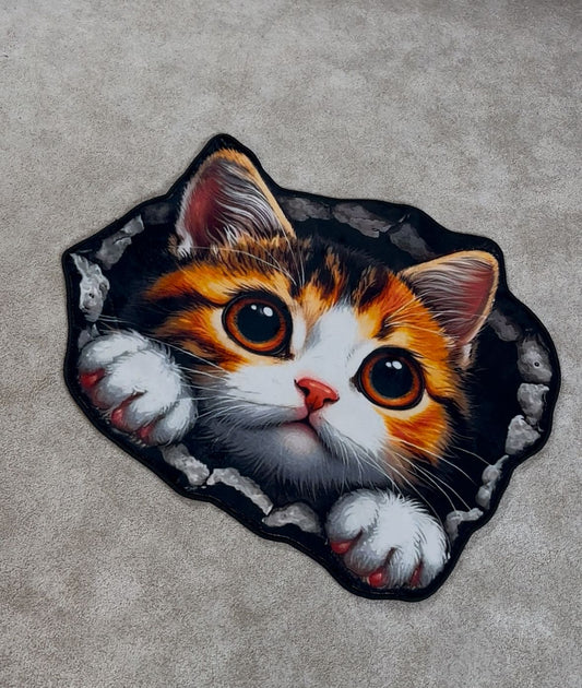 Cute Looking Cat
